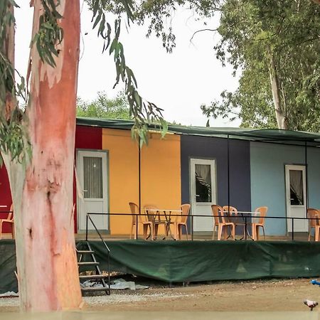 Patara Woody Hostel & Camping Exterior foto