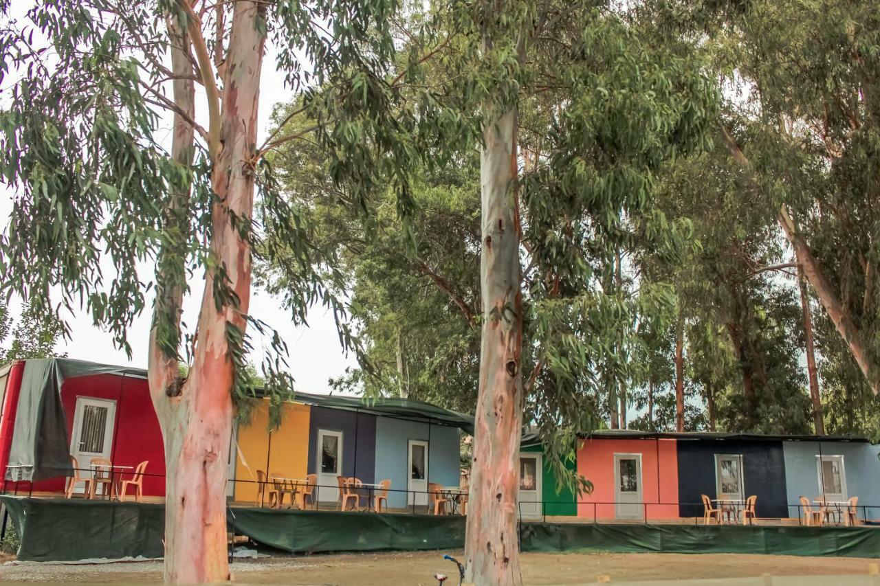 Patara Woody Hostel & Camping Exterior foto